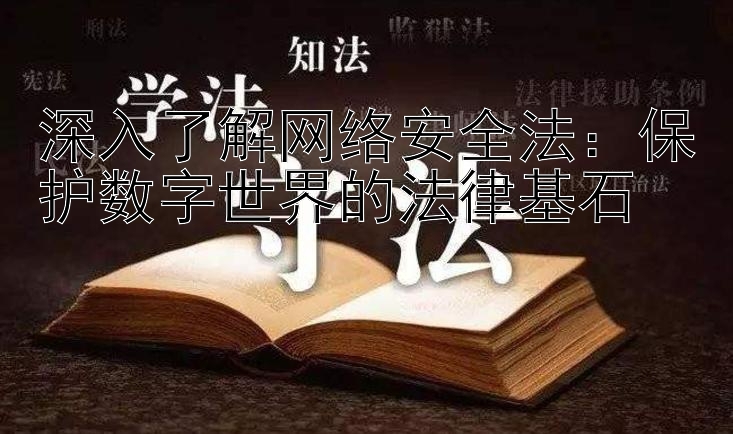 深入了解网络安全法：保护数字世界的法律基石