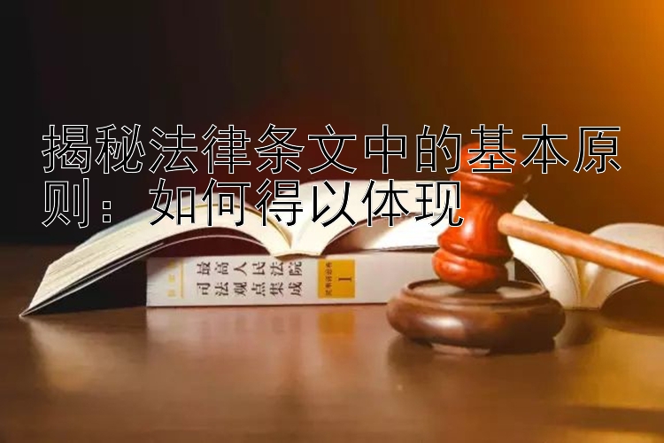 揭秘法律条文中的基本原则：如何得以体现