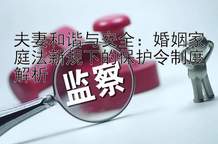 夫妻和谐与安全：婚姻家庭法新规下的保护令制度解析