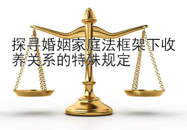 探寻婚姻家庭法框架下收养关系的特殊规定