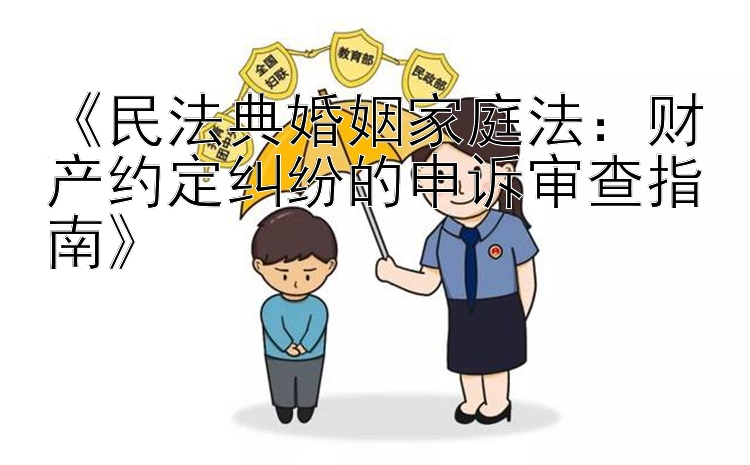 《民法典婚姻家庭法：财产约定纠纷的申诉审查指南》