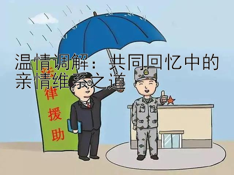 温情调解：共同回忆中的亲情维系之道