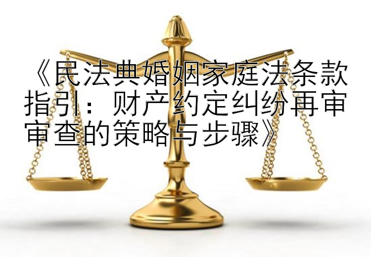 《民法典婚姻家庭法条款指引：财产约定纠纷再审审查的策略与步骤》