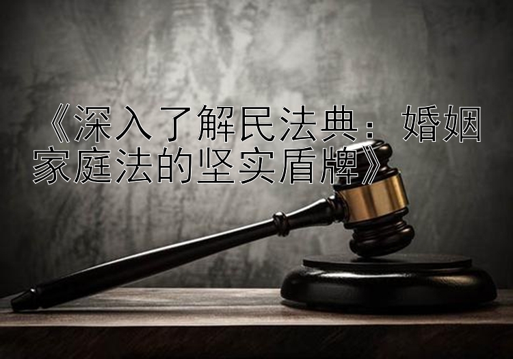 《深入了解民法典：婚姻家庭法的坚实盾牌》