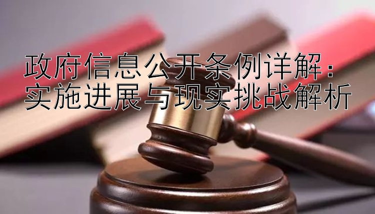 政府信息公开条例详解：实施进展与现实挑战解析