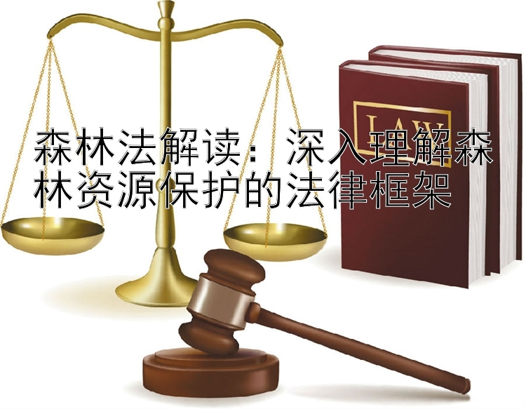 森林法解读：深入理解森林资源保护的法律框架