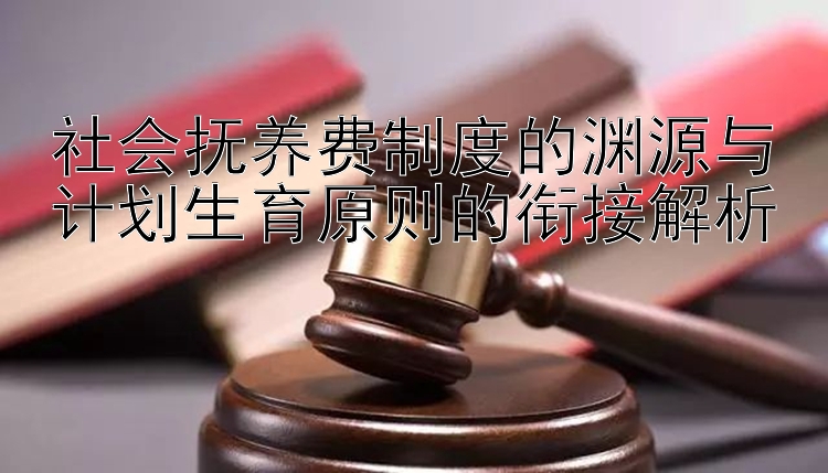 社会抚养费制度的渊源与计划生育原则的衔接解析