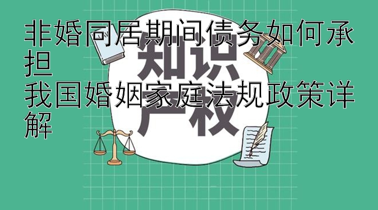 非婚同居期间债务如何承担  
我国婚姻家庭法规政策详解