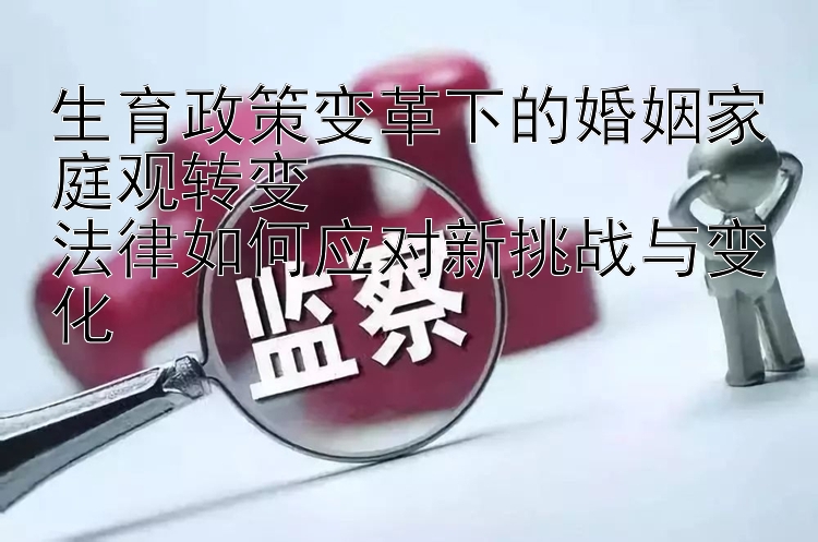 生育政策变革下的婚姻家庭观转变  
法律如何应对新挑战与变化