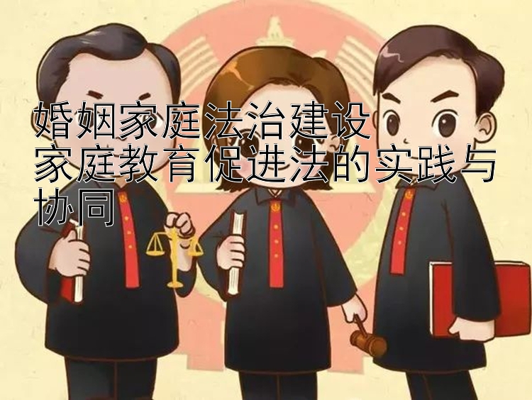 婚姻家庭法治建设  
家庭教育促进法的实践与协同